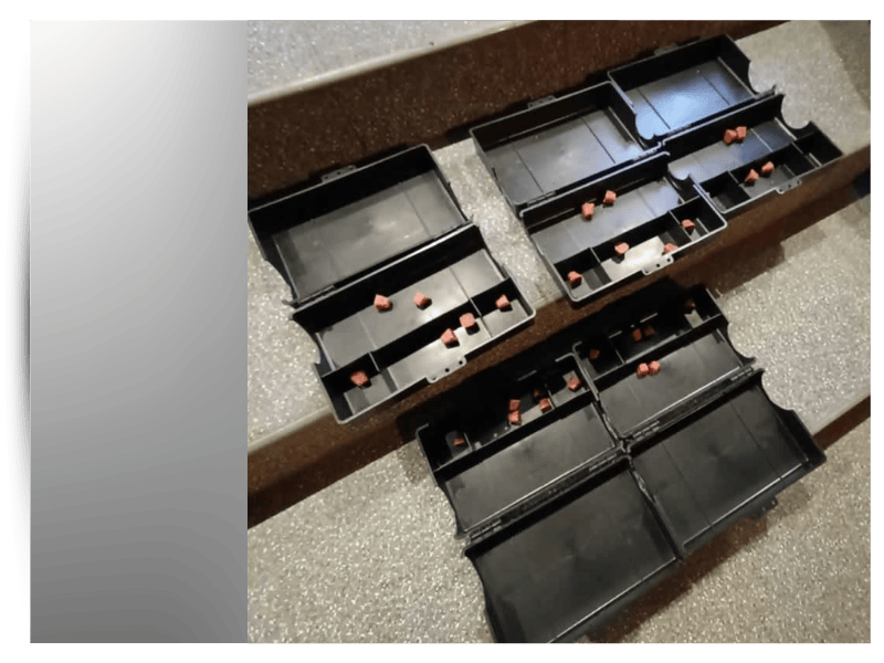 ระบบเหยื่อล่อกำจัดปลวก ราคาไม่แพง